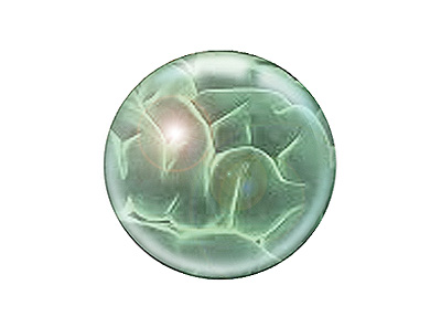 syzygy